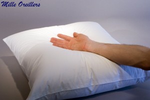 Oreillers en duvet d'oie
