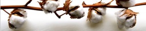 matelas-coutil-coton-bio